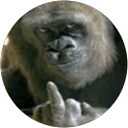 Jean-Yves Moens profile picture